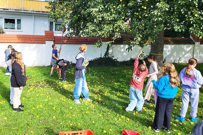 MS_2026_Apfelsaft_03
